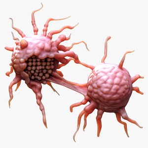 3D Cancer Cell Tumor model
