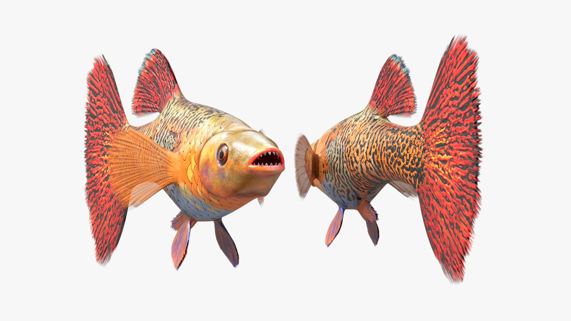 Guppy Fish Red Snake Rigged for Maya 3D model https://p.turbosquid.com/ts-thumb/2V/1lQcwB/Ho/guppyfishredsnakeriggedformaya3dsmodel013/jpg/1725520695/1920x1080/fit_q87/3f9d10d6d219dce6fdcae4f6a83348989336eddc/guppyfishredsnakeriggedformaya3dsmodel013.jpg