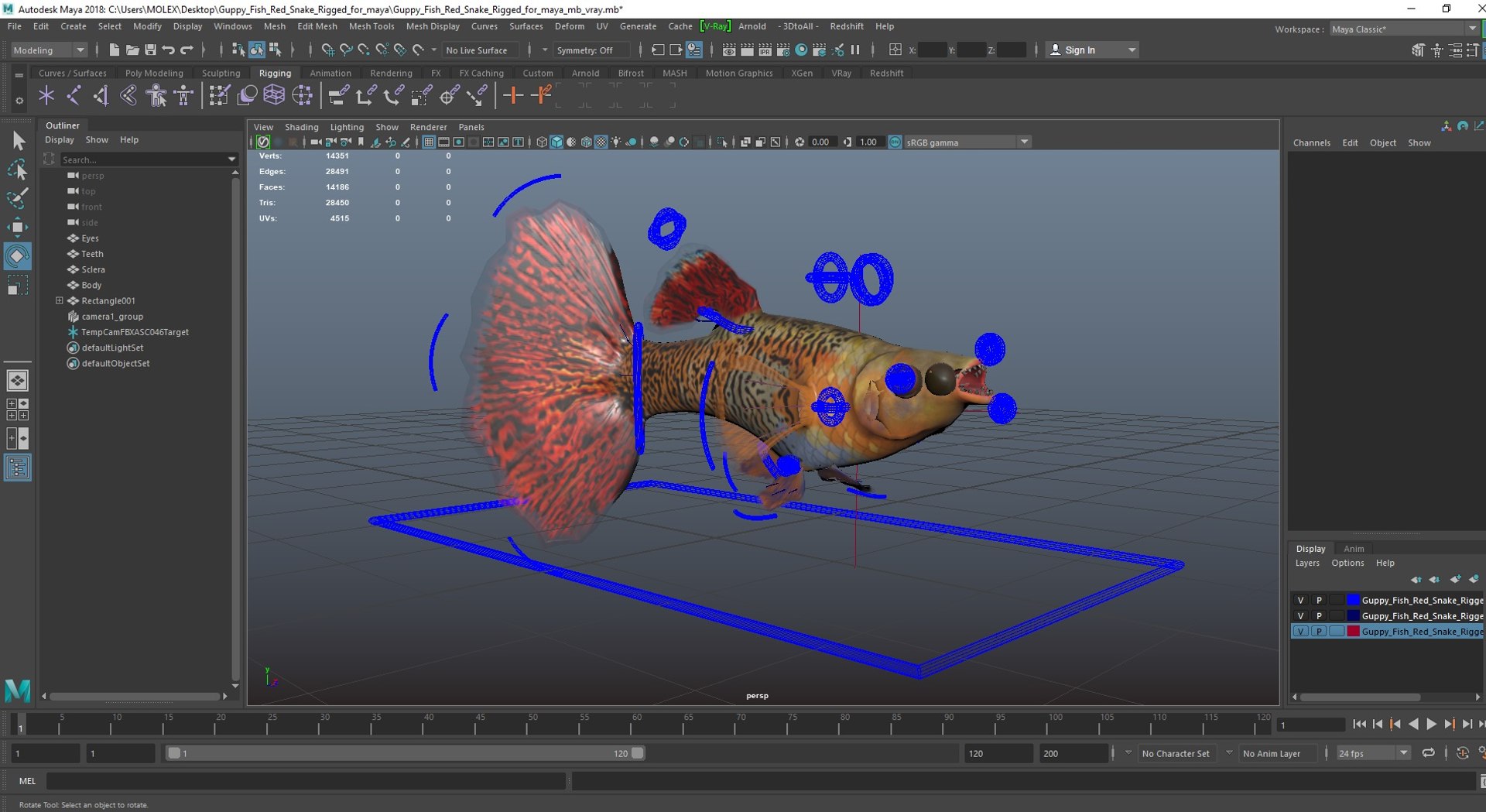 Guppy Fish Red Snake Rigged for Maya 3D model https://p.turbosquid.com/ts-thumb/2V/1lQcwB/OT/guppyfishredsnakeriggedformaya3dsmodel041/jpg/1725520790/1920x1080/fit_q87/32a027345c370db83aabeb07893f3461bc01558e/guppyfishredsnakeriggedformaya3dsmodel041.jpg