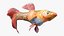 Guppy Fish Red Snake Rigged for Maya