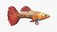 Guppy Fish Red Snake Rigged for Maya