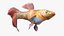 Guppy Fish Red Snake Rigged for Maya