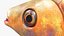 Guppy Fish Red Snake Rigged for Maya