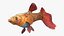 Guppy Fish Red Snake Rigged for Maya