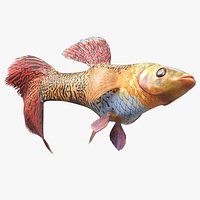 Guppy Fish Red Snake Rigged for Maya