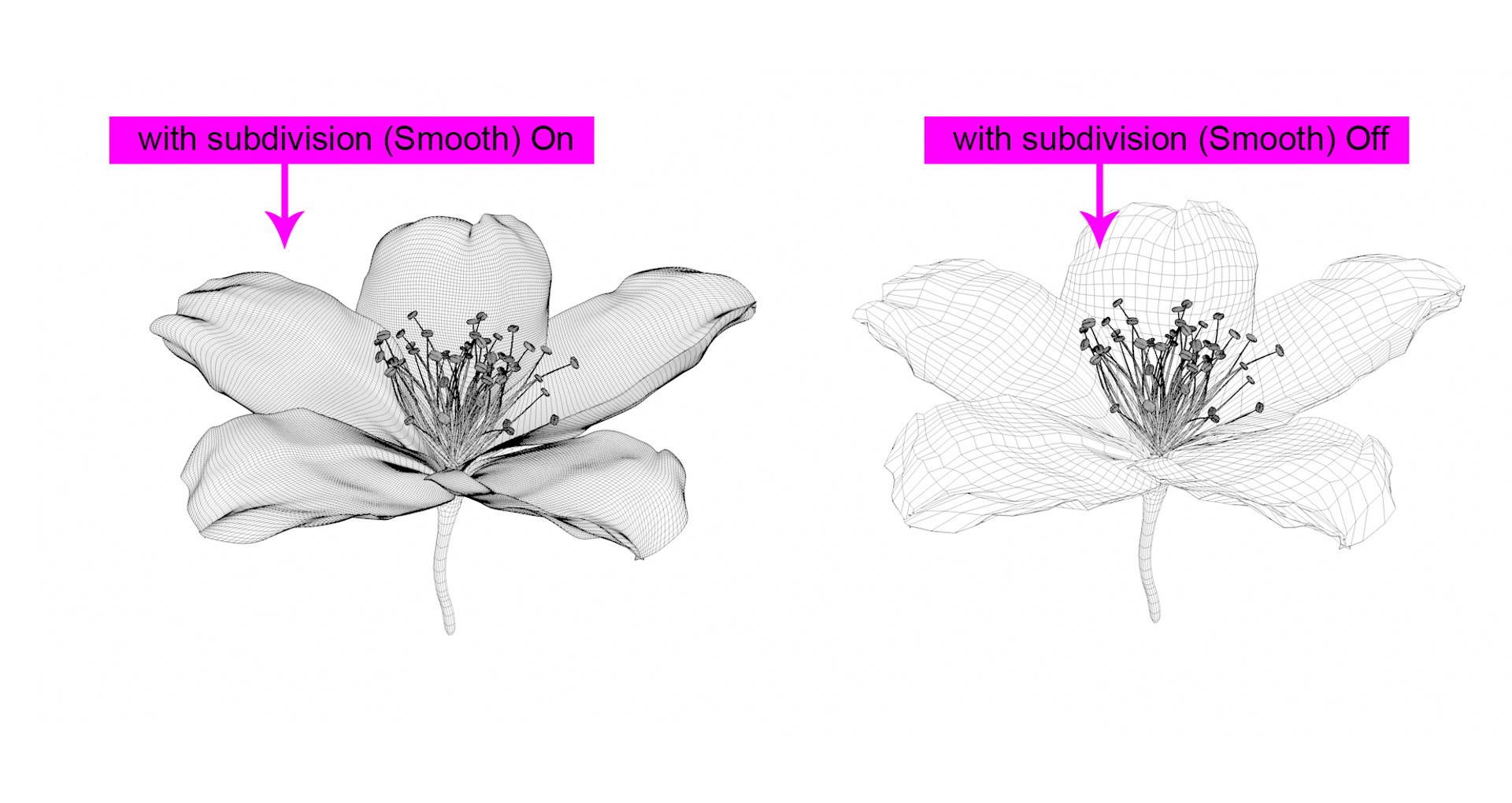 Realistic Jasmine Flower Bloom Animation 3D model https://p.turbosquid.com/ts-thumb/2V/CZBAJT/1B/wireframe/jpg/1734192792/1920x1080/fit_q87/7f0ad77a7558a9159e793fe1ee9f2ad034f4eb42/wireframe.jpg