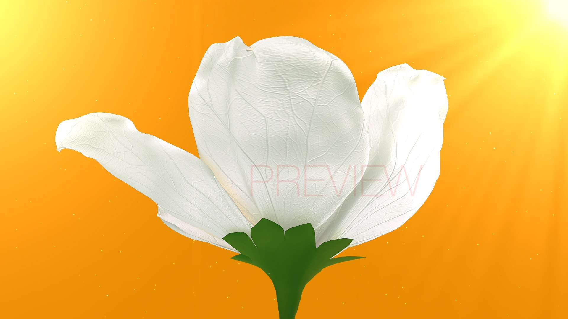 Realistic Jasmine Flower Bloom Animation 3D model https://p.turbosquid.com/ts-thumb/2V/CZBAJT/8Y/frame_009/jpg/1734192788/1920x1080/fit_q87/96dbf828518332eba235615402b208277387a96c/frame_009.jpg