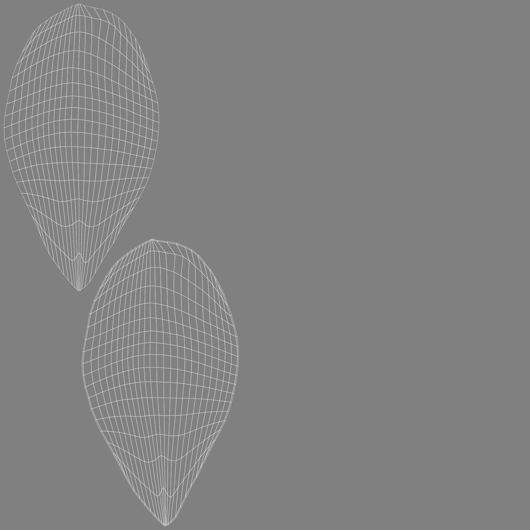 Realistic Jasmine Flower Bloom Animation 3D model https://p.turbosquid.com/ts-thumb/2V/CZBAJT/Nd/uvs/jpg/1734192791/1920x1080/fit_q87/64eab5643e54bf24e2688c5776a605fece30a240/uvs.jpg