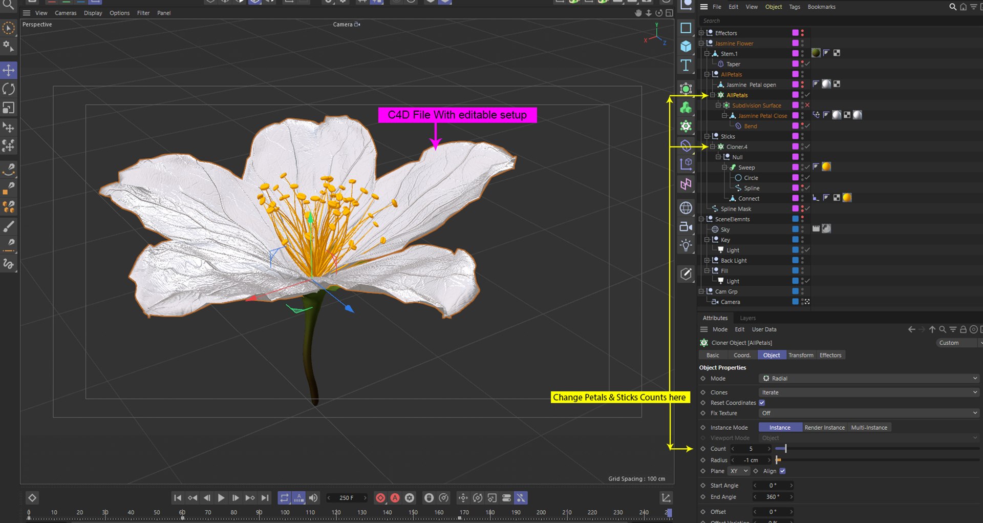 Realistic Jasmine Flower Bloom Animation 3D model https://p.turbosquid.com/ts-thumb/2V/CZBAJT/Sm/detail_002/jpg/1734192762/1920x1080/fit_q87/0aeb49e395b032993cb49cf9303d515676b7cfbb/detail_002.jpg