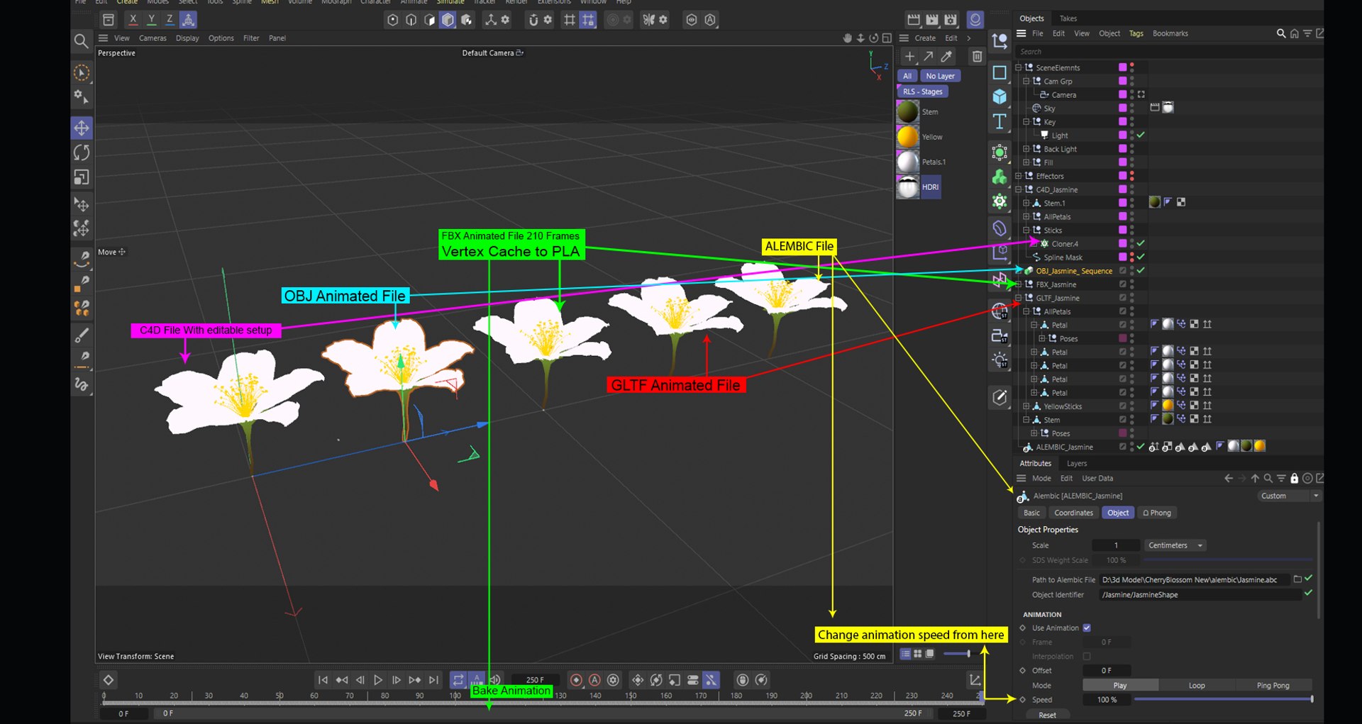 Realistic Jasmine Flower Bloom Animation 3D model https://p.turbosquid.com/ts-thumb/2V/CZBAJT/qP/detail_001/jpg/1734192758/1920x1080/fit_q87/8636021bff5c7157e99bf8279b1b53e3b1468585/detail_001.jpg