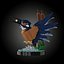 Lego 10331 Eisvogel