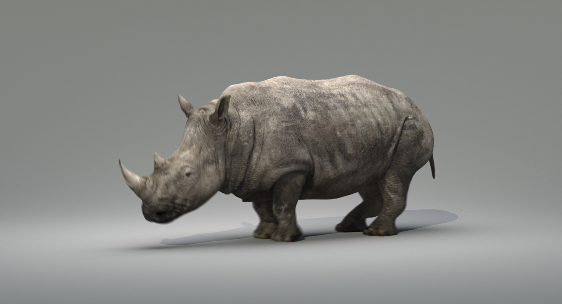 Rhino + V-Ray: Smoothing