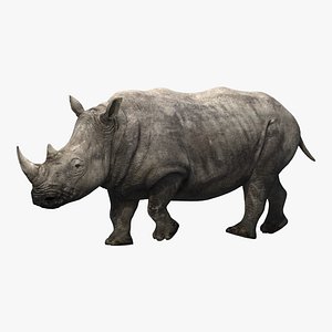 rhino rigging animation 3D