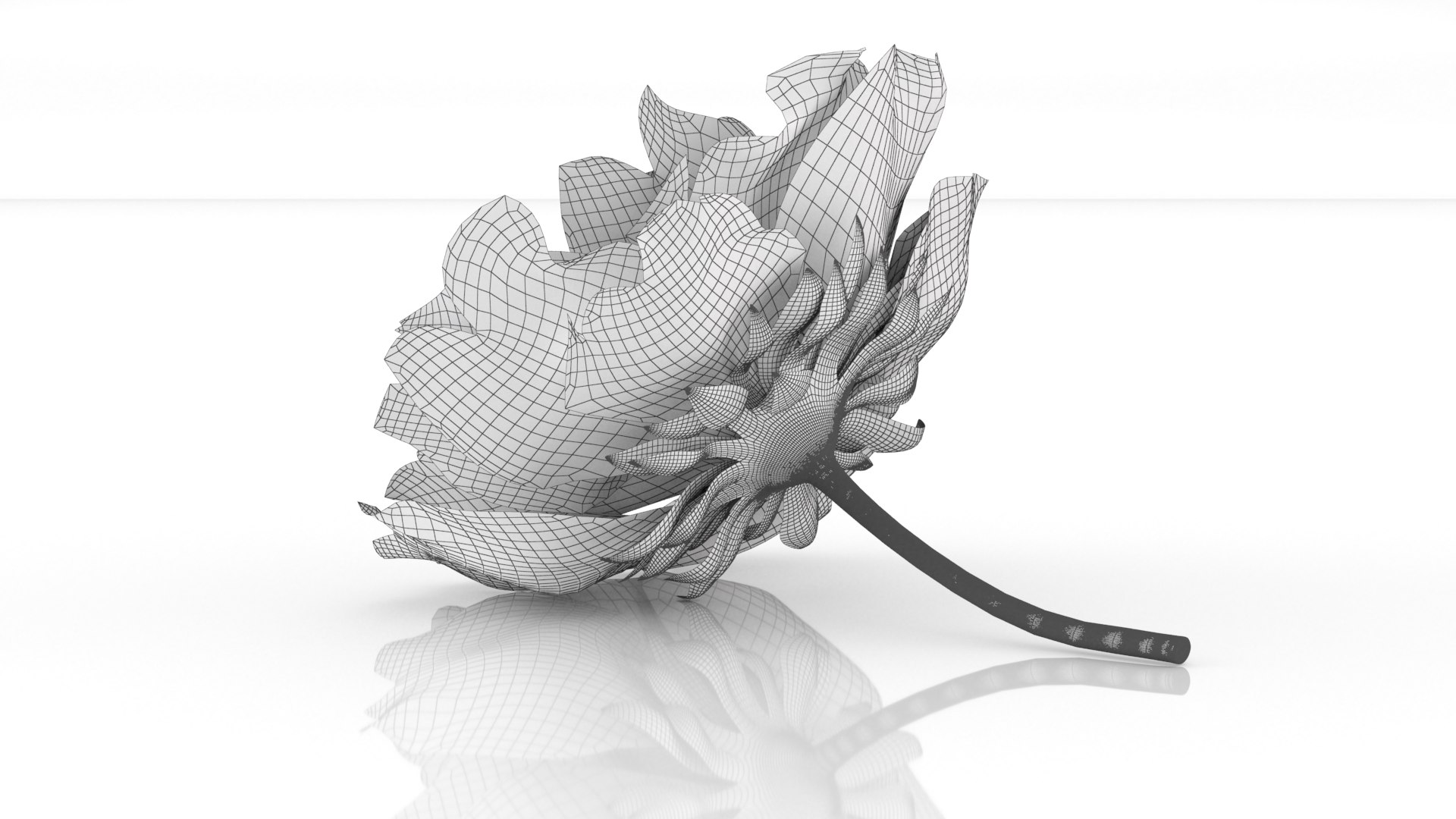 3D hanami flowers sakura blossom model https://p.turbosquid.com/ts-thumb/2V/SgBHE1/Va/6/png/1655203141/1920x1080/fit_q87/a270c929b0bf010959f8d59297426d4d220e0521/6.jpg