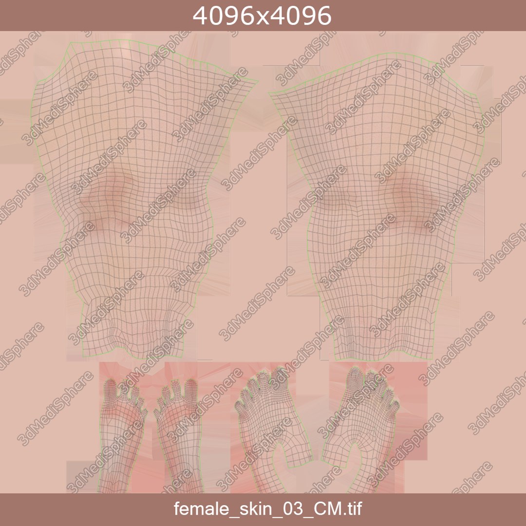 3D female anatomy blender rigged model https://p.turbosquid.com/ts-thumb/2V/a8iNEZ/ugWMwtV0/new_female_skin_03_unwrap/png/1580918269/1920x1080/fit_q87/a0a8031820d5c1745dd7b06defb0a93a74655ac4/new_female_skin_03_unwrap.jpg
