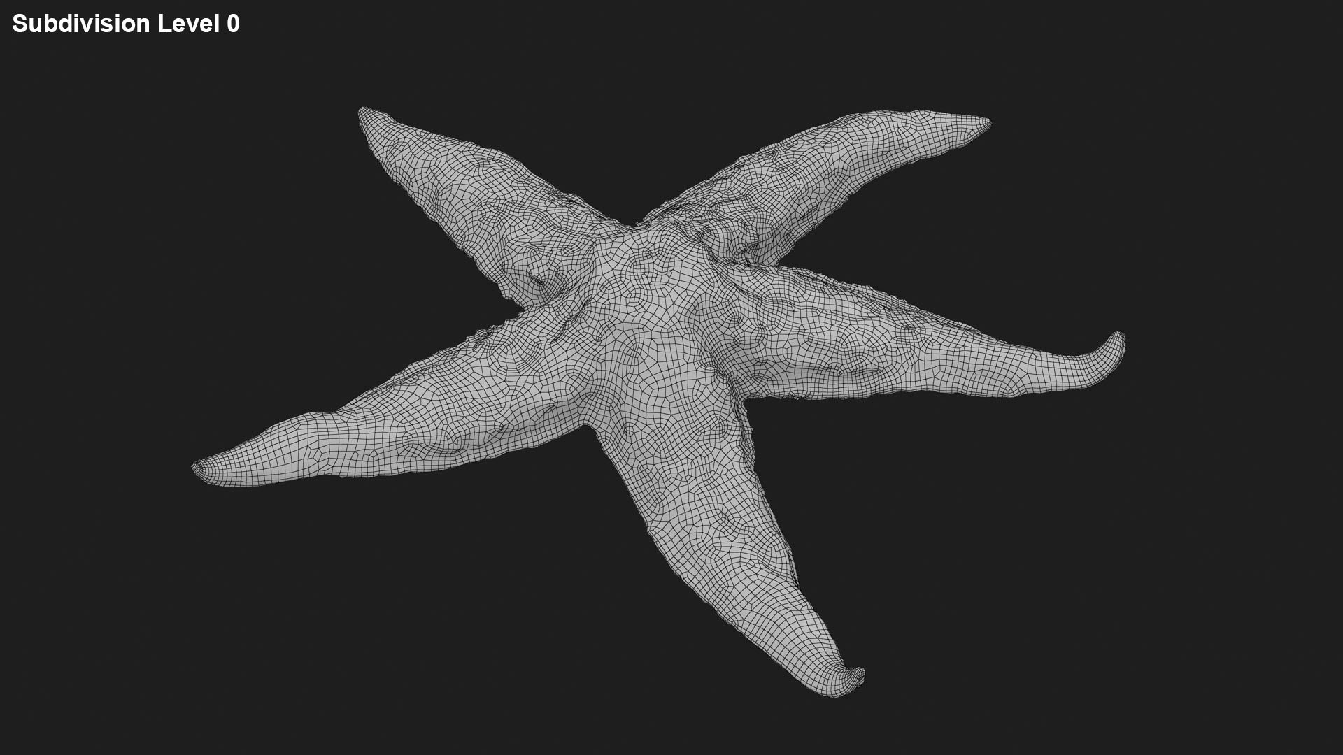 3D Common Starfish 02 https://p.turbosquid.com/ts-thumb/2V/bWQdEF/2k/commonstarfish2_g0001/jpg/1733116484/1920x1080/fit_q87/2845aeb78400661ca0622c25fb1895b1af463e52/commonstarfish2_g0001.jpg