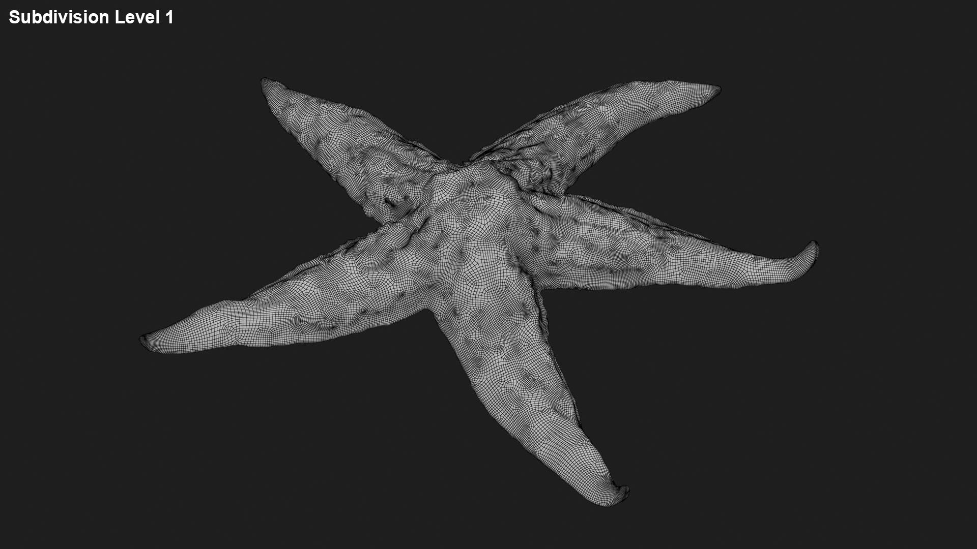 3D Common Starfish 02 https://p.turbosquid.com/ts-thumb/2V/bWQdEF/HT/commonstarfish2_g0002/jpg/1733116486/1920x1080/fit_q87/2d3839d790e6d9bcdb50ccf8ab37849a9736f2b3/commonstarfish2_g0002.jpg