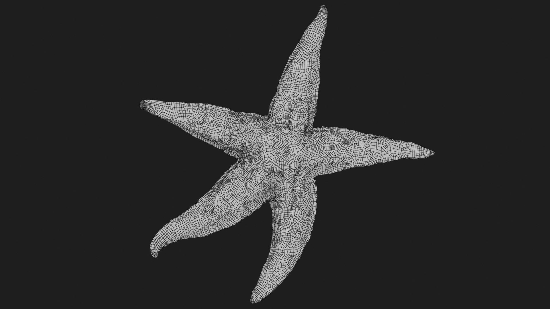 3D Common Starfish 02 https://p.turbosquid.com/ts-thumb/2V/bWQdEF/aa/commonstarfish2_g0003/jpg/1733116486/1920x1080/fit_q87/74b9cb2c1a3f37dcd162b6702df0a4f671660001/commonstarfish2_g0003.jpg