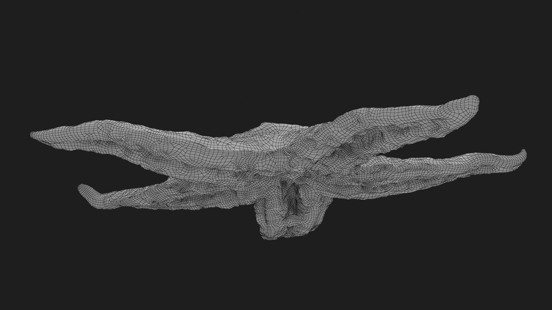 3D Common Starfish 02 https://p.turbosquid.com/ts-thumb/2V/bWQdEF/cb/commonstarfish2_g0004/jpg/1733116486/1920x1080/fit_q87/bf976831939c772b881ddddd9e86917e0540af7d/commonstarfish2_g0004.jpg