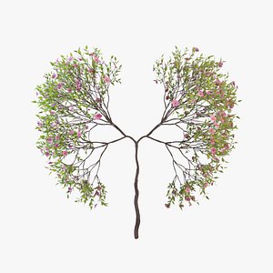Growing Tree shaped as human lungs animation model