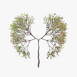 Growing Tree shaped as human lungs animation