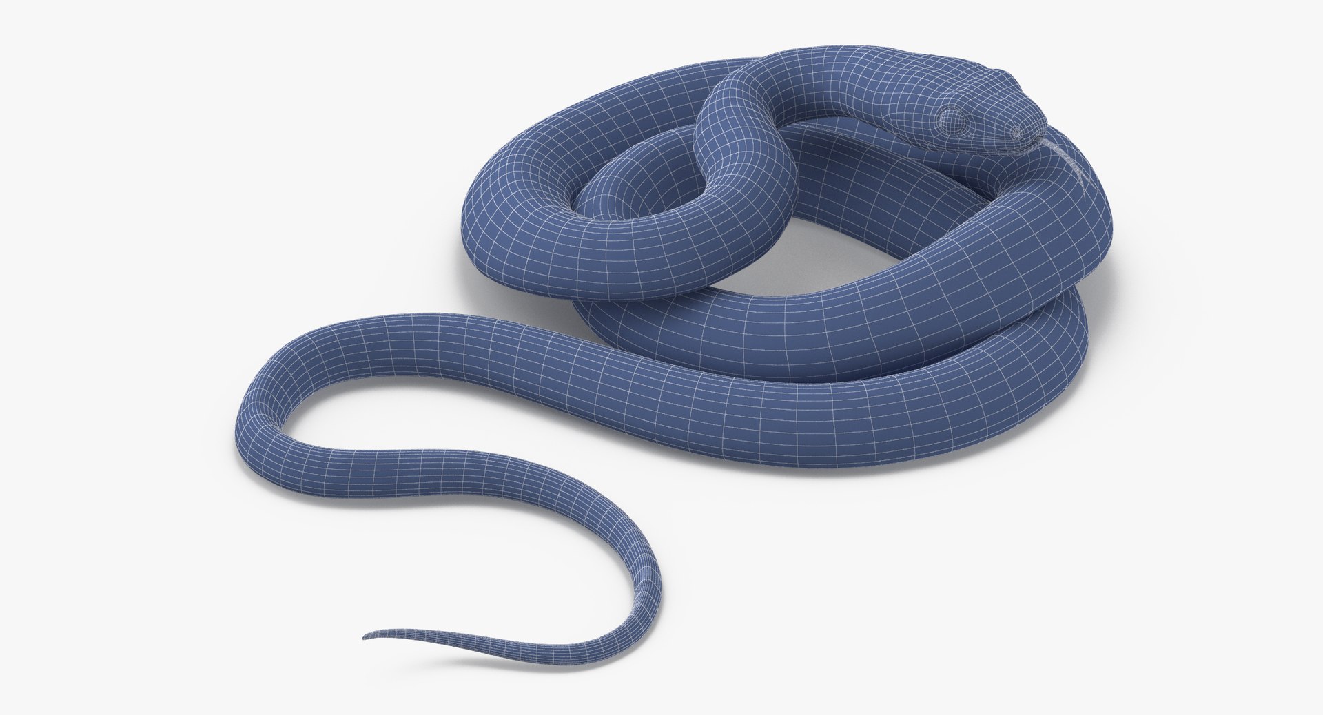 3d model black snake poses