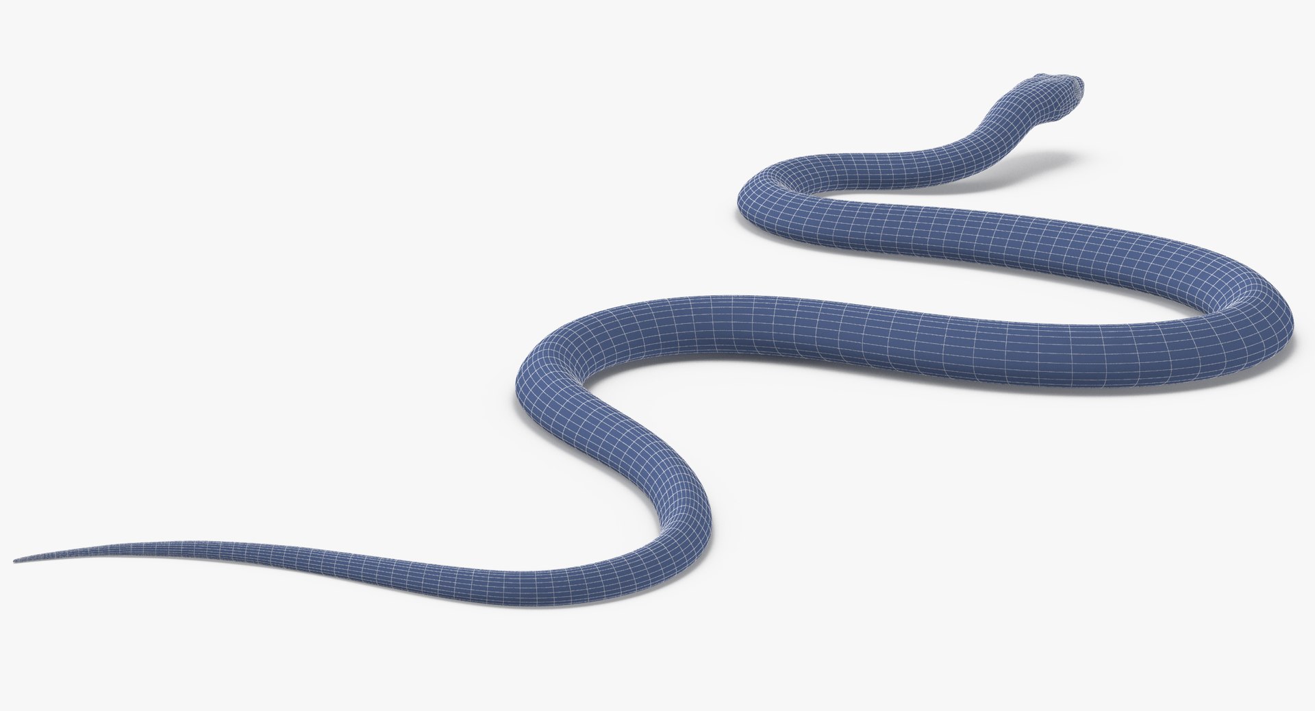 3d model black snake poses