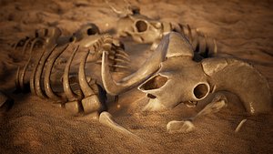 3D Animal Skeletons 46 Assets model