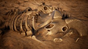 Animal Skeletons 46 Assets