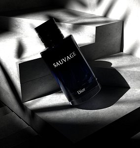 SAUVAGE Perfume 3D Design 3D model
