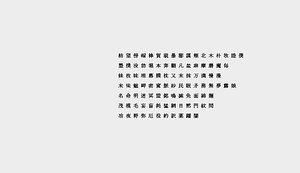 chinese ms mincho font 3D