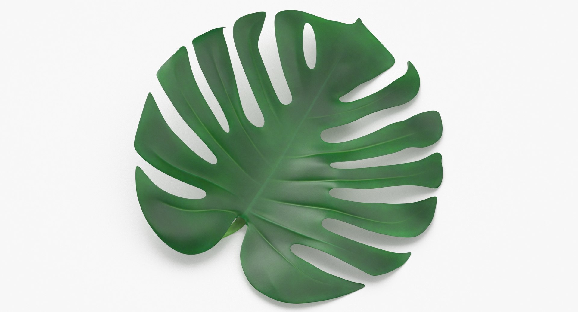 Prop01 Palm Leaves Type 01 3D model https://p.turbosquid.com/ts-thumb/2V/vYleGL/hH/shampoo_conditioner_palm_leaf_01_thumbnail_0002/jpg/1698054292/1920x1080/fit_q87/db092bcfb6642e8577bab28d2a07d4dd43e1f002/shampoo_conditioner_palm_leaf_01_thumbnail_0002.jpg