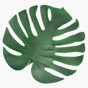 Prop01 Palm Leaves Type 01 3D model