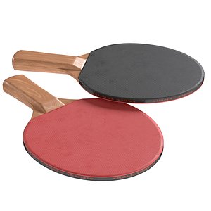Table Tennis Paddles 3D model