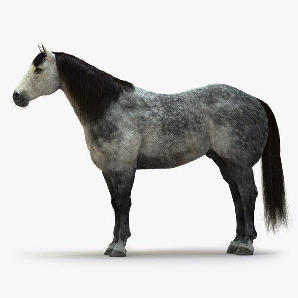 3D horse rigged fur model