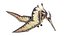 Dinopack Flying Animado