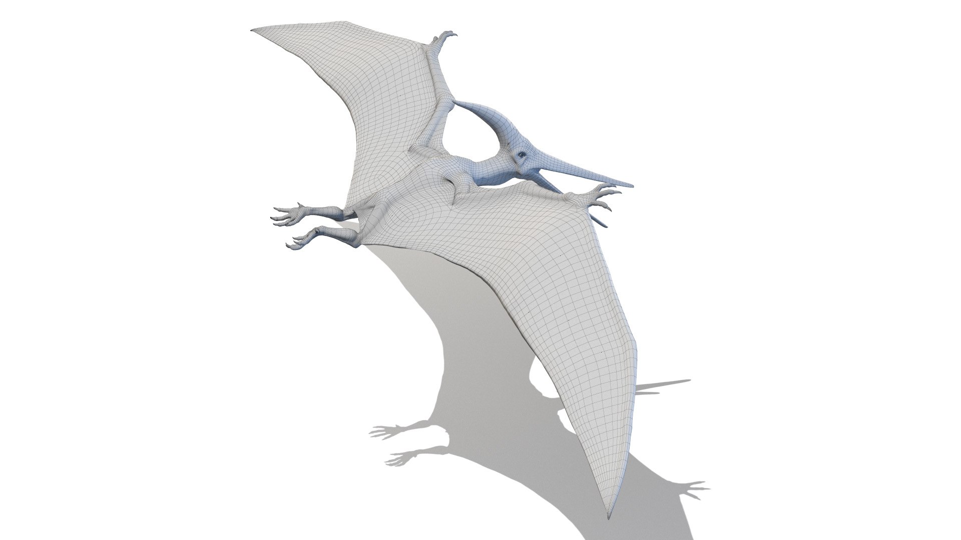 3D model dino flying dinopack https://p.turbosquid.com/ts-thumb/2W/K7oALy/Bz/pteranodon_wire0004/jpg/1611241689/1920x1080/fit_q87/867c3562aaf18a87eaea050d452ef44d9b464e8f/pteranodon_wire0004.jpg