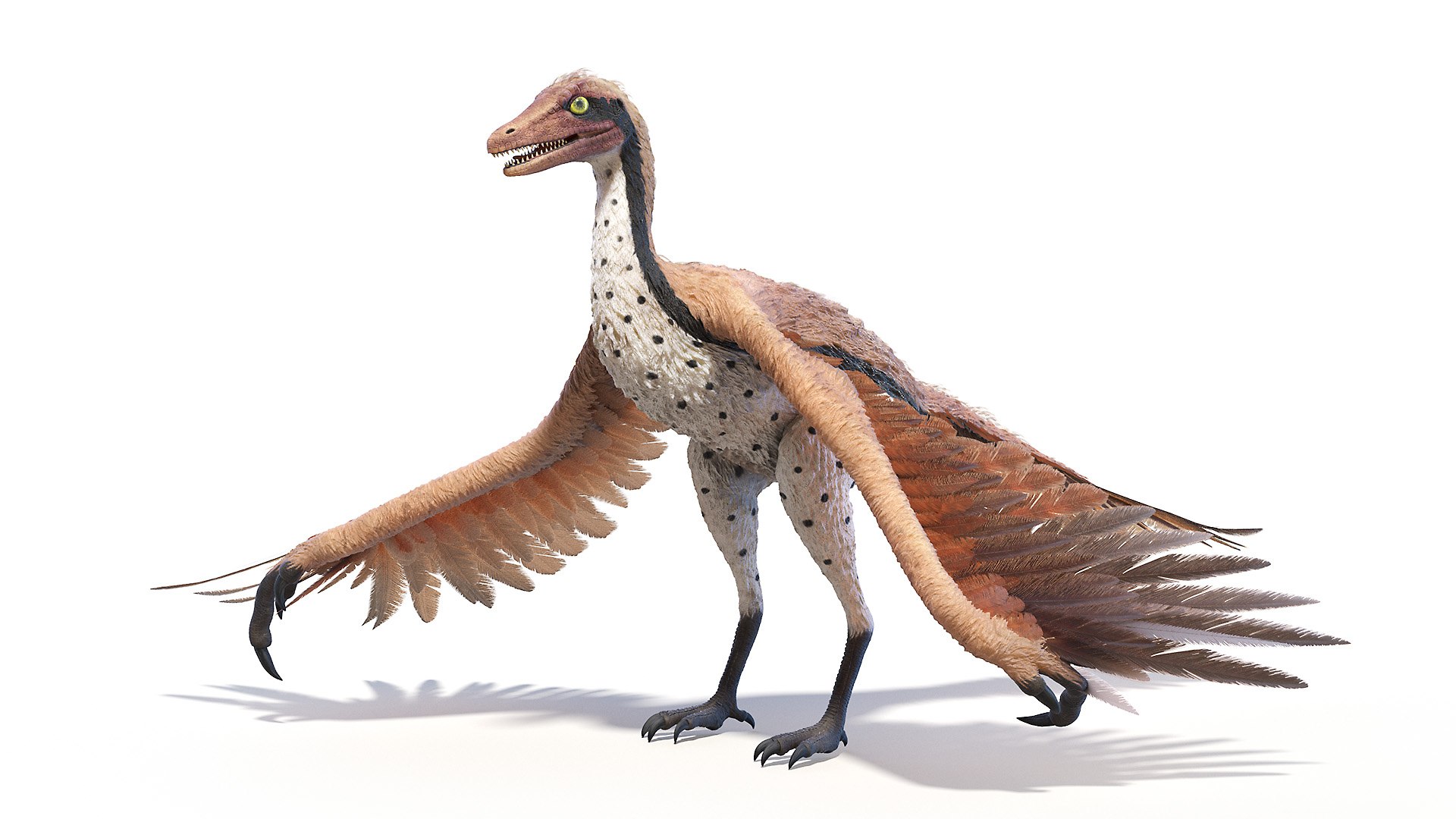 3D model dino flying dinopack https://p.turbosquid.com/ts-thumb/2W/K7oALy/Dh/archaeopteryx_poses0022/jpg/1611240029/1920x1080/fit_q87/a0686ea987f61a2aeb90223dca228317e6dd910c/archaeopteryx_poses0022.jpg