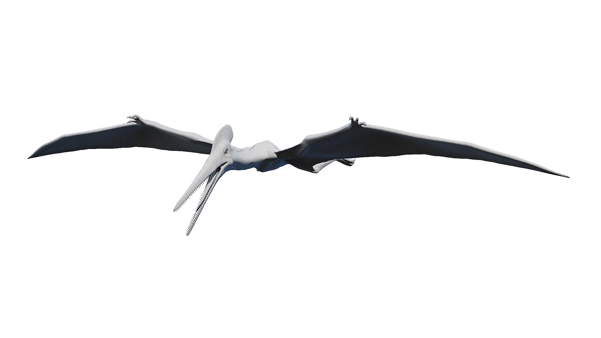 3D model dino flying dinopack https://p.turbosquid.com/ts-thumb/2W/K7oALy/HR/pterodactyl_wire0005/jpg/1611241707/1920x1080/fit_q87/5a4e207393f8c07636cf8a56e4c49ffdf83b48df/pterodactyl_wire0005.jpg