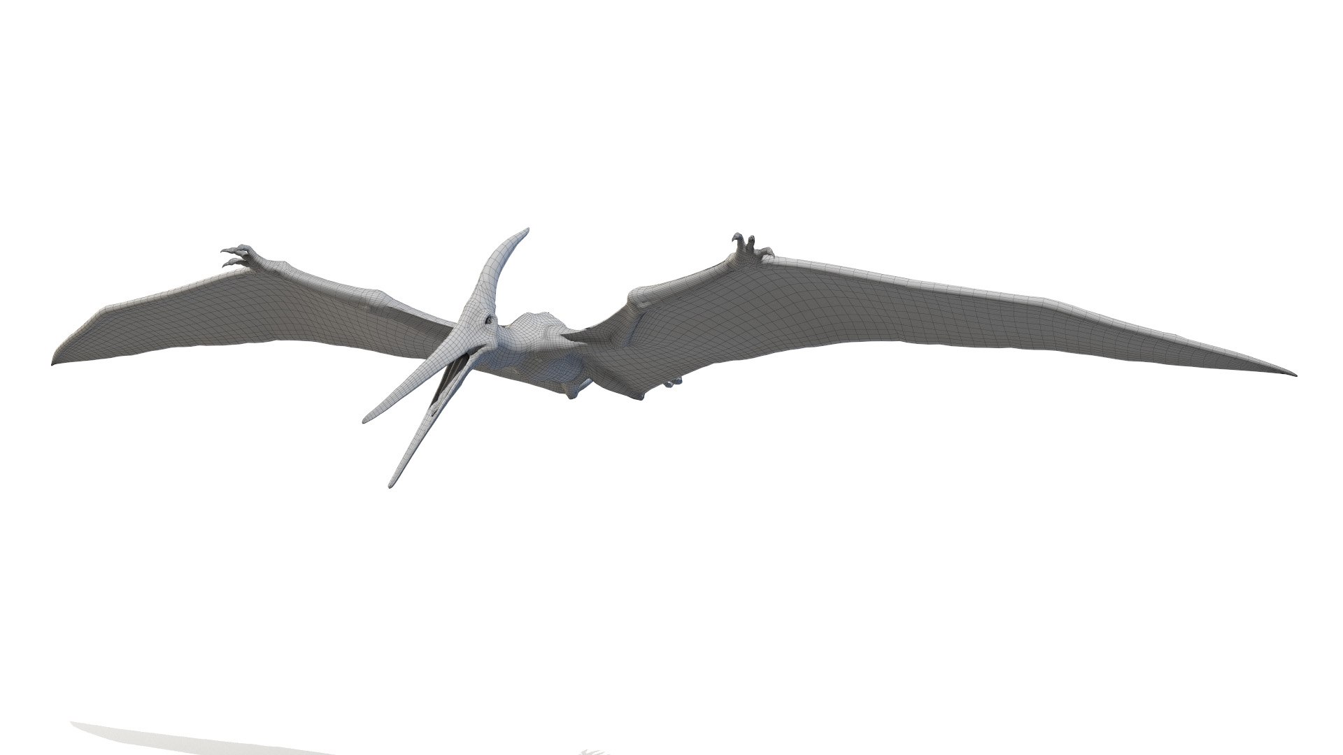 3D model dino flying dinopack https://p.turbosquid.com/ts-thumb/2W/K7oALy/IC/pteranodon_wire0001/jpg/1611241689/1920x1080/fit_q87/f800a22e7f00d4ae9ac5ec05da5aed3c9129dafd/pteranodon_wire0001.jpg
