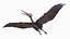 Dinopack Flying Animado