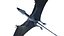 Dinopack Flying Animado