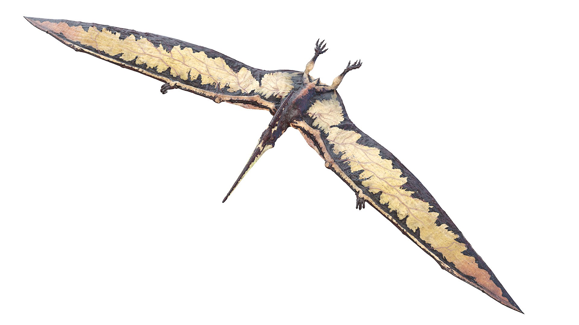 3D model dino flying dinopack https://p.turbosquid.com/ts-thumb/2W/K7oALy/Tp/pteranodon_poses0043/jpg/1611240888/1920x1080/fit_q87/287b89390045bb1ea8d1d9a56ebd18f378295695/pteranodon_poses0043.jpg