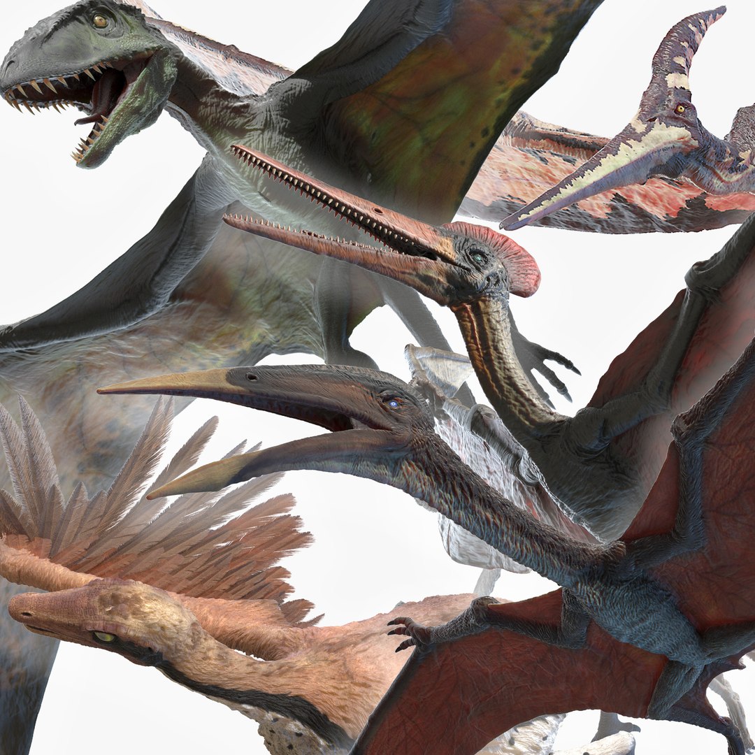 dino flying
