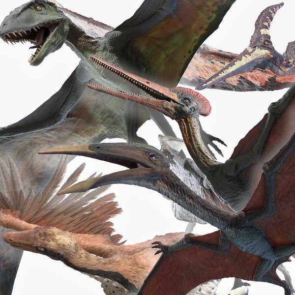 DinoPack DinoPack