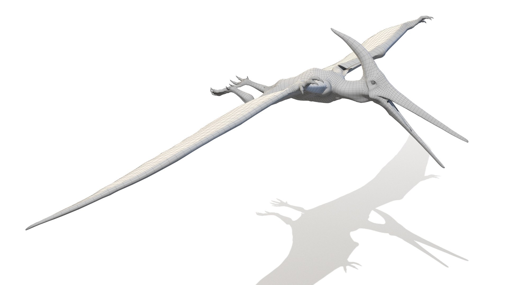 3D model dino flying dinopack https://p.turbosquid.com/ts-thumb/2W/K7oALy/ow/pteranodon_wire0005/jpg/1611241688/1920x1080/fit_q87/fb42c06b504785daac82247869b2c4506ab334d0/pteranodon_wire0005.jpg