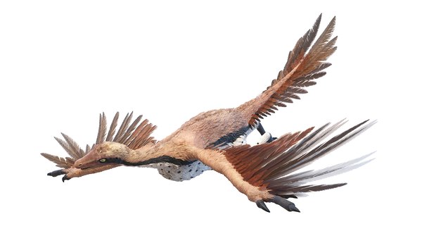 dino flying