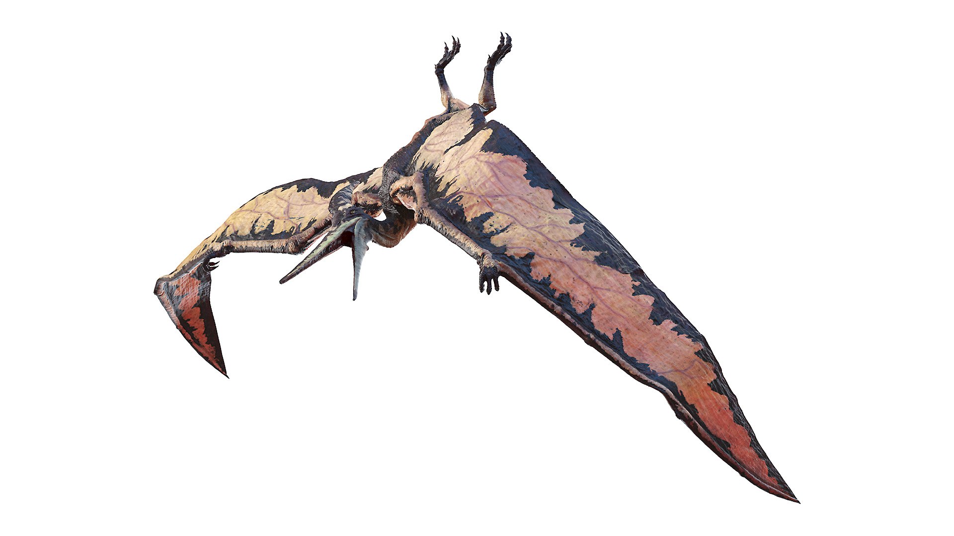 3D model dino flying dinopack https://p.turbosquid.com/ts-thumb/2W/K7oALy/tO/pteranodon_poses0045/jpg/1611240888/1920x1080/fit_q87/4417bd8bc46d352bf04368f55481eed500a312fa/pteranodon_poses0045.jpg