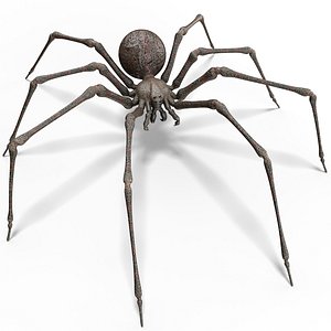 Spider