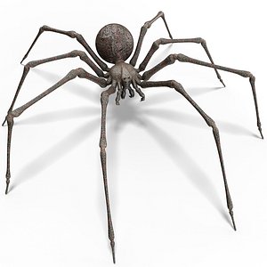Spider